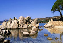 雷火电竞-当绿茵闪电撞上绿衫铁壁！姆巴佩奥运单挑凯尔特人，数据揭秘世纪交锋