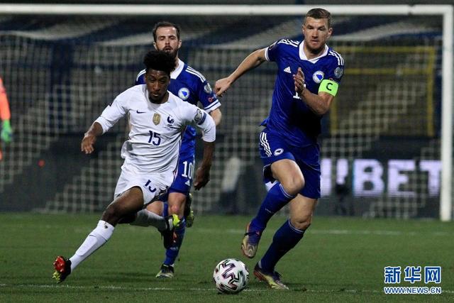 法国客场不敌波黑，小组出现波动的简单介绍