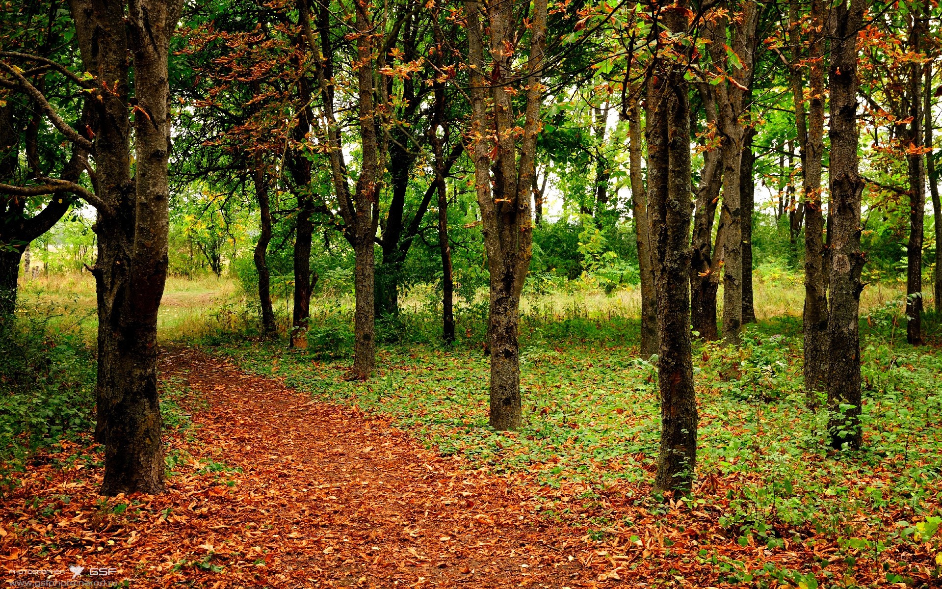 雷霆弃将变老鹰救世主，切特冷血三分+致命封盖诠释大心脏