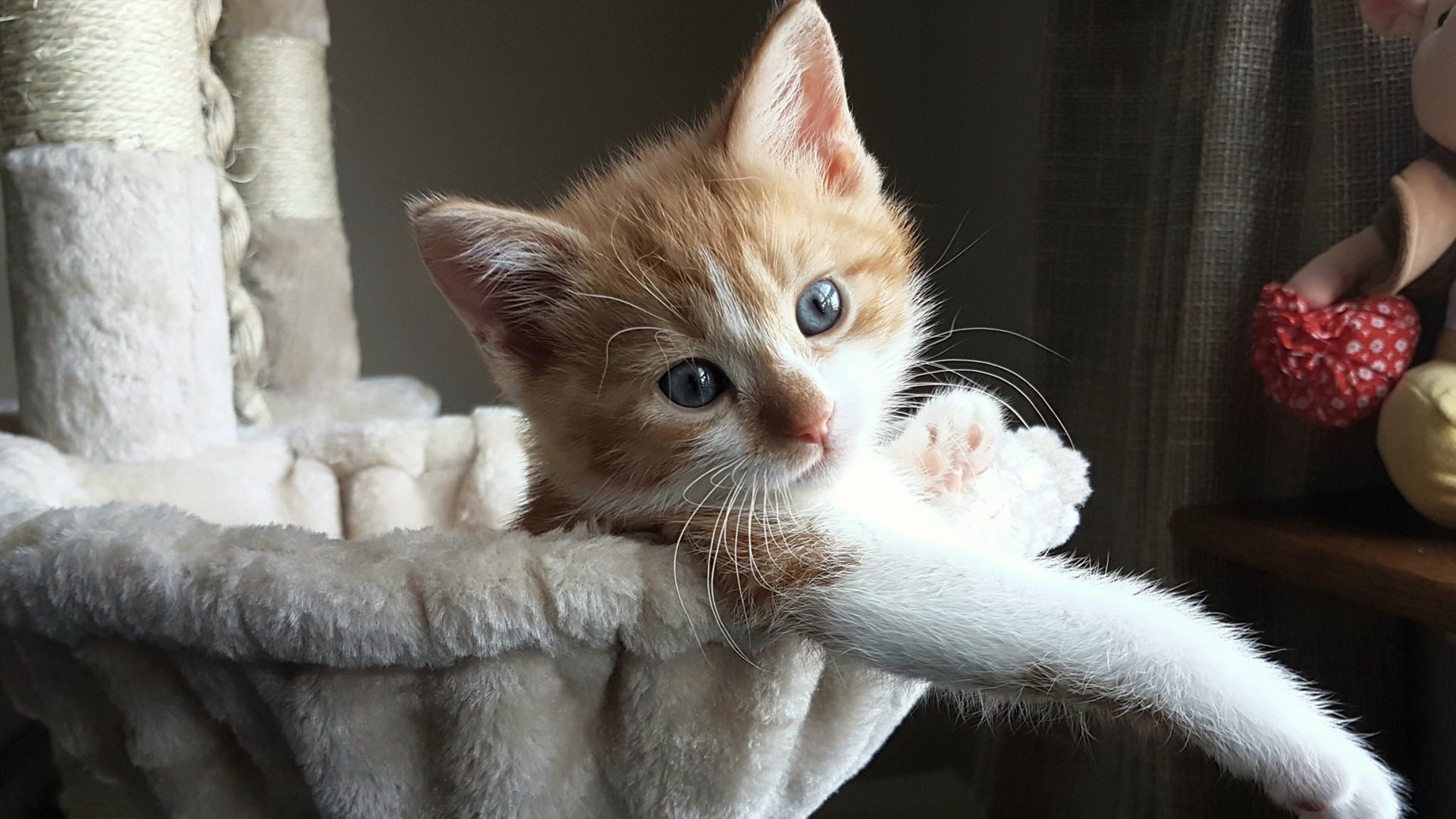 雷火电竞网址-南欧与北非的足球对话，迪巴拉绝杀回应所有质疑