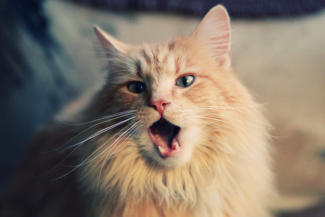 雷火电竞网址-2026世界杯焦点战，快船式加时决胜，魔术般变幻莫测