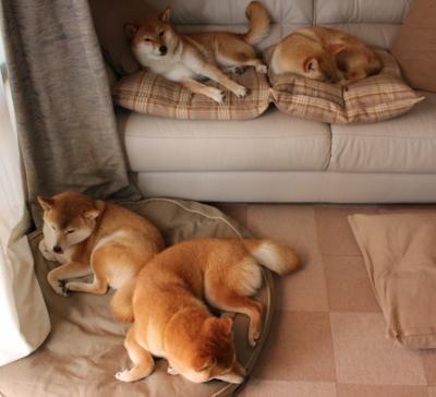 雷火电竞官网-久保建英的独舞，在多特蒙德与里昂的战术棋局中，一位亚洲天才的非典型解答