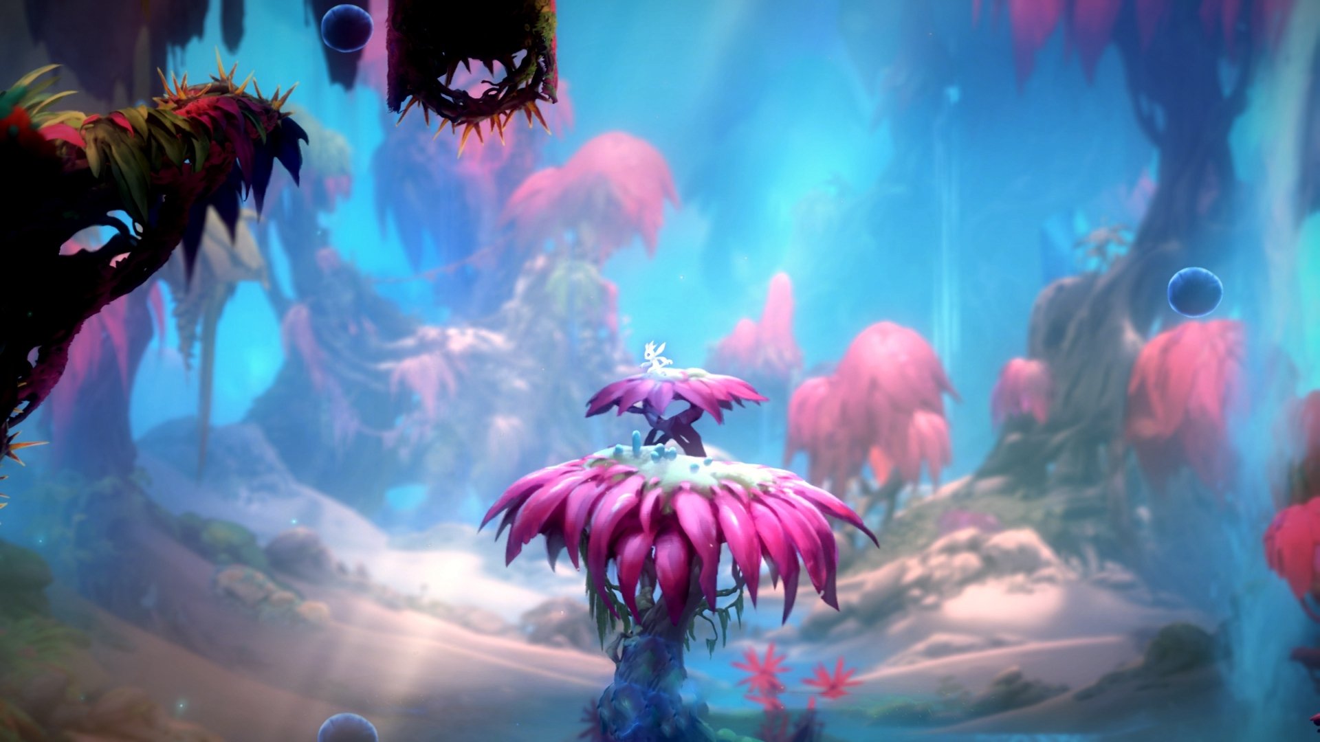 黄喜灿如节拍器般带动全队节奏，切尔西以强势姿态击破挪威铁壁晋级