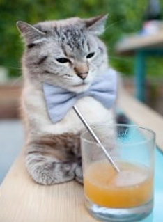 莫兰特突破,火箭绝境重生