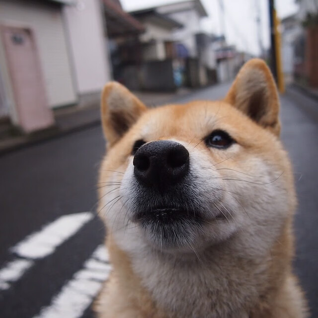 绿茵权杖之争,福登一剑封喉的世界排名之夜