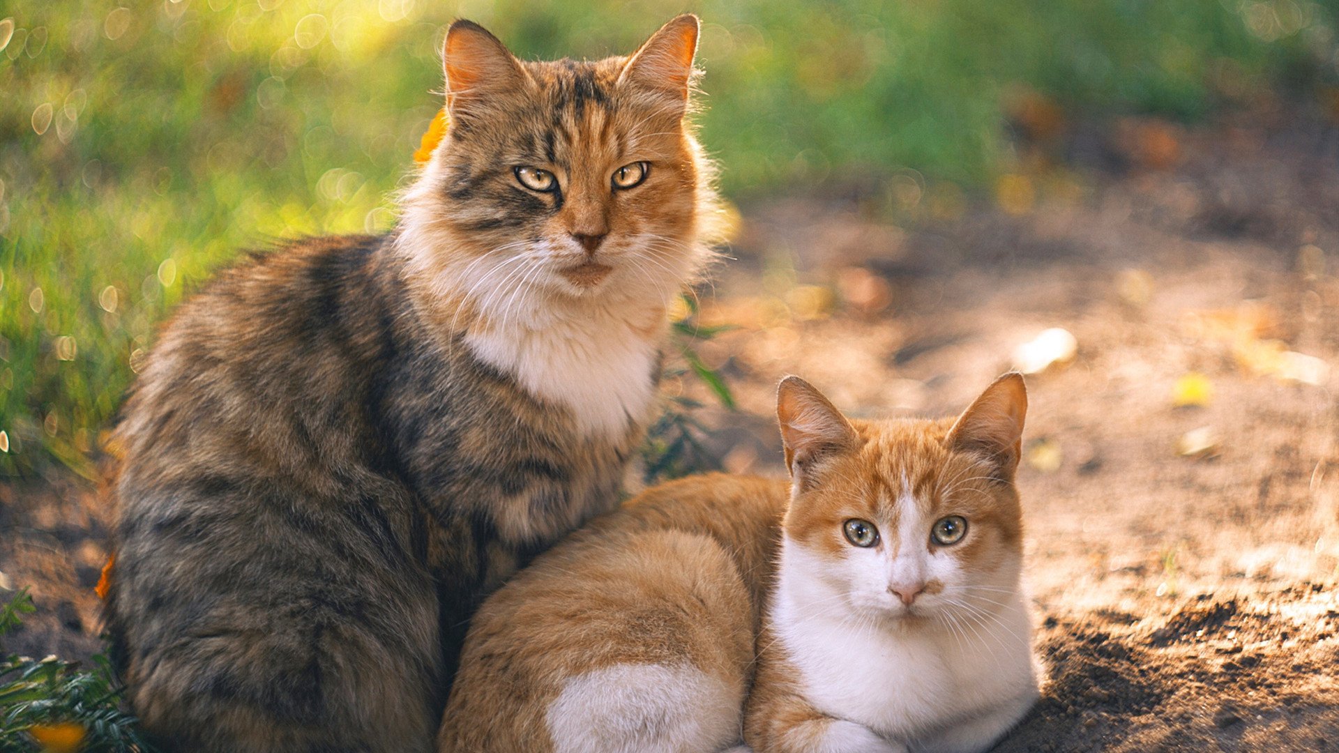 足球周末的叙事魔法，绝杀与主宰的交响