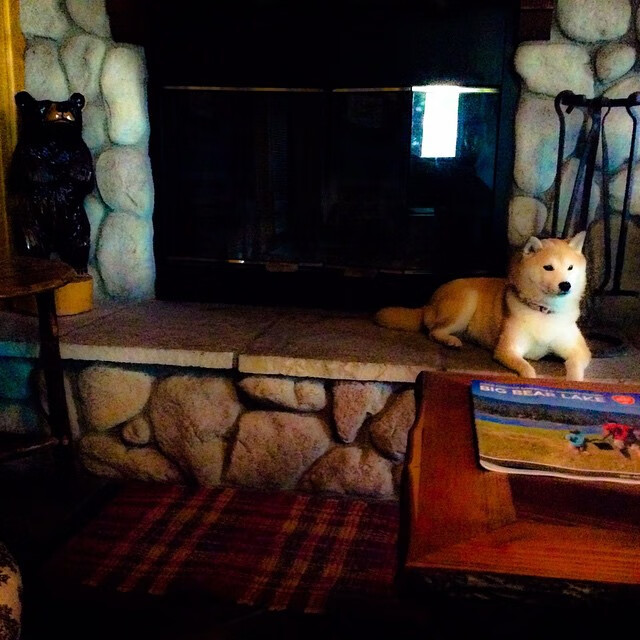 雷火电竞入驻-独舞破坚壁—迪马利亚幻影穿梭，导演喀麦隆与苏格兰的另类对话