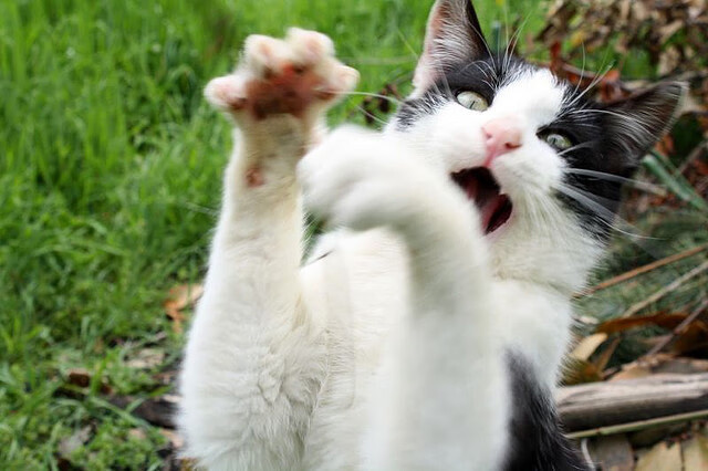 雷火电竞下载-子弹与艺术家，当德布劳内的手术刀切开红牛防线